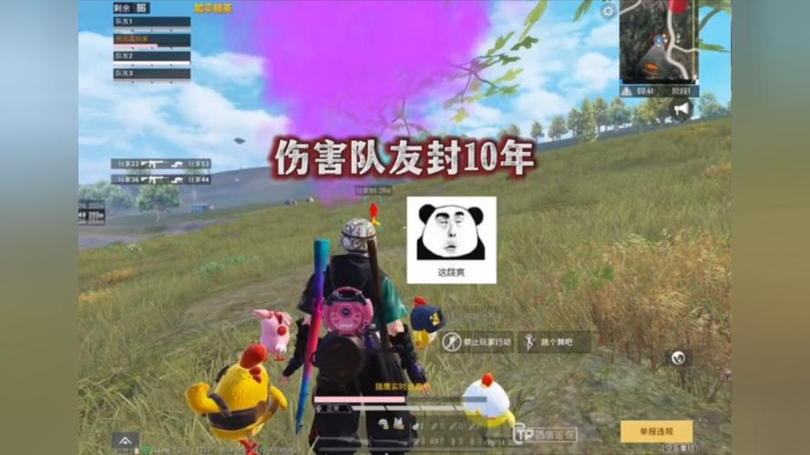 和平精英《诛仙》辅助