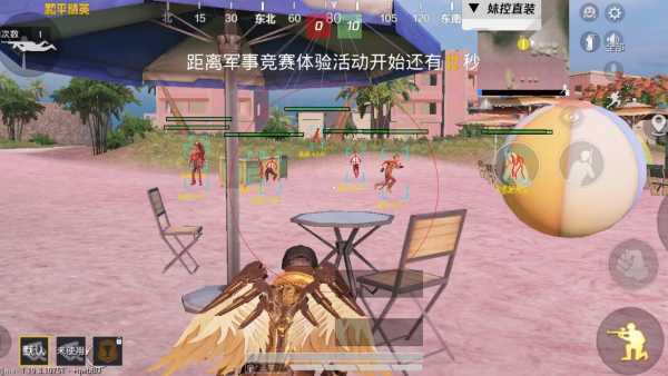 和平精英《火锅》辅助